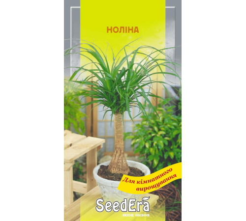 ТМ SeedEra Ноліна 5шт