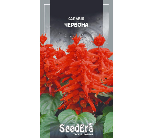 ТМ SeedEra Сальвія блискуча Біла 0,1 г
