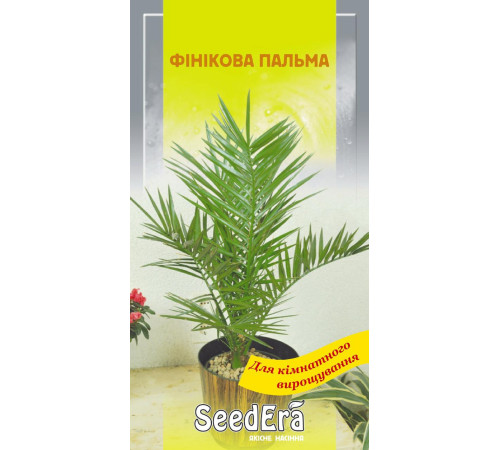 ТМ SeedEra Фінікова пальма 2шт