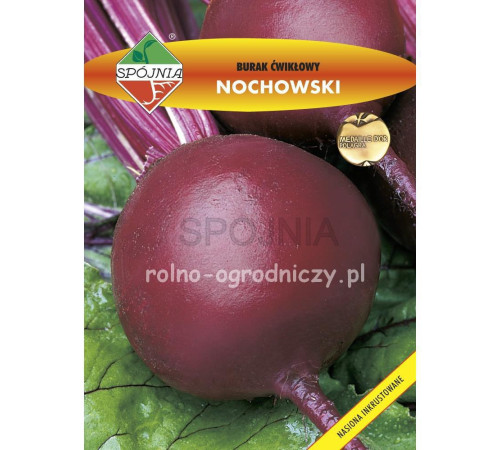ТМ SPOJNIA Буряк Ноховський 100г Польща