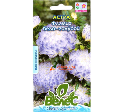 ТМ ВЕЛЕС Астра Фламір біло-блакитна 0,3 г