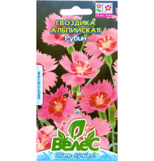 ТМ ВЕЛЕС Гвоздика альпійська Рубін 0,2 г