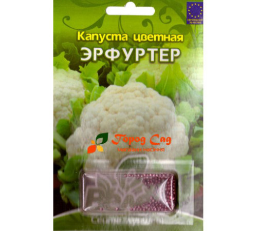 ТМ ВЕЛЕС Капуста Ерфуртер 100шт інкруст.
