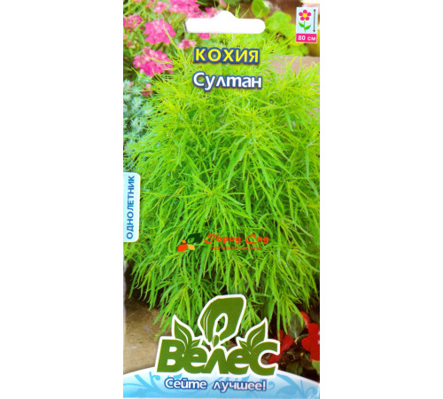 ТМ ВЕЛЕС Кохія Султан 0,5 г