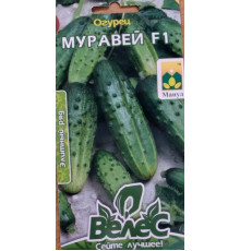 ТМ ВЕЛЕС Огірок Мураха F1 10шт