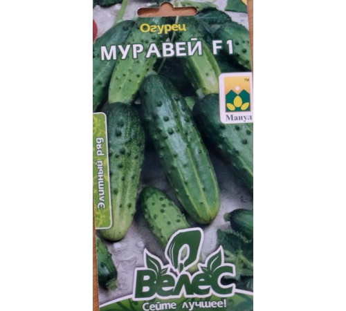 ТМ ВЕЛЕС Огірок Мураха F1 10шт