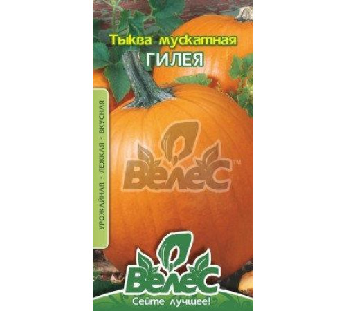 ТМ ВЕЛЕС Гарбуз Гілея 2г