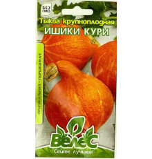 ТМ ВЕЛЕС Гарбуз Ішикі Курі 2г