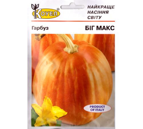 ТМ КОУЕЛ Гарбуз Біг макс 10г