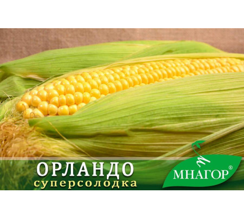 ТМ МНАГІР Кукурудза сахарна Орландо F1 50шт
