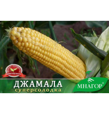 Горщик для квітів, розсади D 90 полістирен круглий (64305)