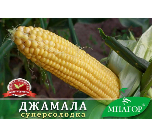 Горщик для квітів, розсади D 90 полістирен круглий (64305)