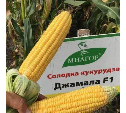 Горщик для квітів, розсади D 90 полістирен круглий (64305)