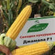 Горщик для квітів, розсади D 90 полістирен круглий (64305)