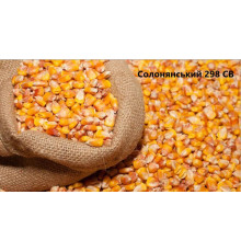 Кормова кукурудза Солонянський кг (мішок 25кг)