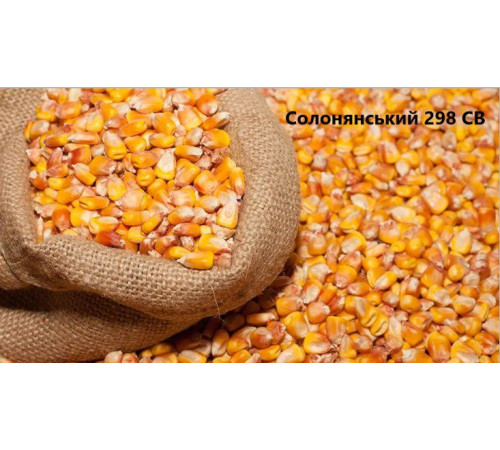 Кормова кукурудза Солонянський кг (мішок 25кг)
