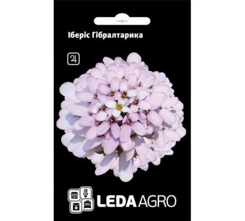 ТМ LEDAAGRO Іберіс Гібралтарика 0,3 г