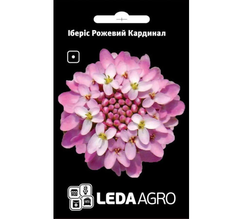 ТМ LEDAAGRO Іберіс Рожевий Кардинал 0,5 г
