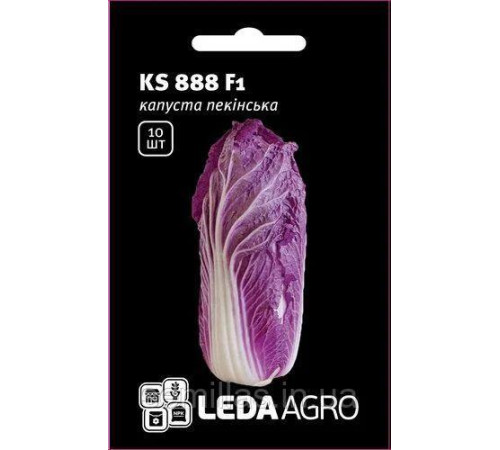 ТМ LEDAAGRO Капуста пекінська Ямада (KS 888)F1 червона 10шт