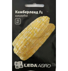 ТМ LEDAAGRO Кукурудза Камберленд F1 20шт