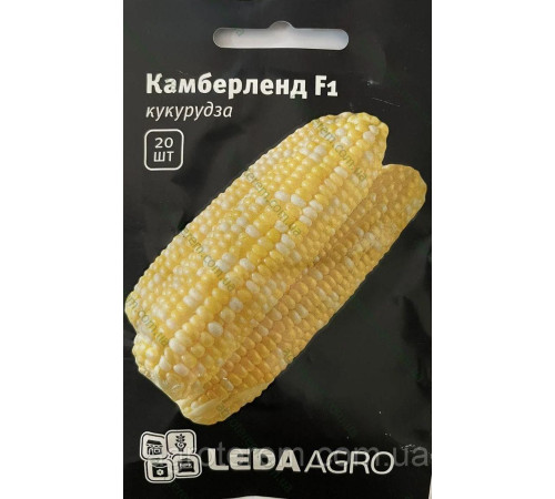 ТМ LEDAAGRO Кукурудза Камберленд F1 20шт