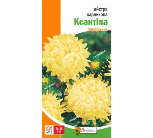 ТМ ЯСКРАВА Айстра карликова Ксантіпа 0,3г