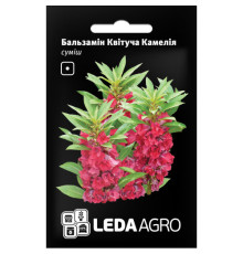 ТМ LEDAAGRO Бальзамін Квітуча Камелія 0,5 г