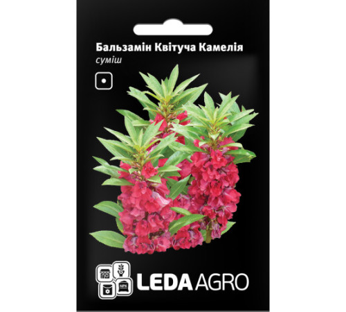 ТМ LEDAAGRO Бальзамін Квітуча Камелія 0,5 г