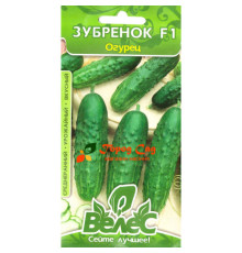 ТМ ВЕЛЕС Огірок Зубренок F1 0,5 г