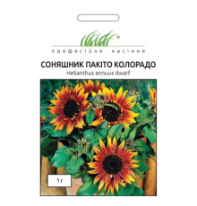 ТМ Професійне насіння Соняшник Пакіто Колорадо 1г