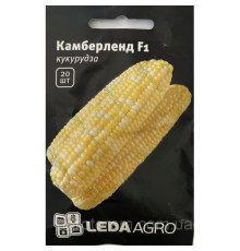 ТМ LEDAAGRO Кукурудза Камберленд F1 20шт
