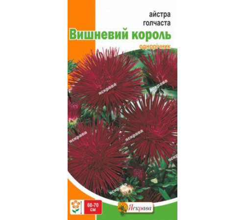 ТМ ЯСКРАВА Айстра голчаста Вишневий король 0,3г