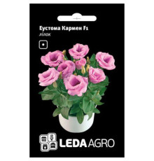ТМ LEDAAGRO Еустома Кармен F1 лілак 5шт