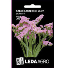 ТМ LEDAAGRO Статиця (кермек) Американ Б'юті 5г