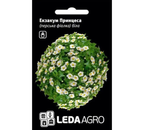 ТМ LEDAAGRO Екзакум Принцеса біла 5шт