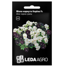 ТМ LEDAAGRO Віола Коріна F1 біло-чорна 10шт