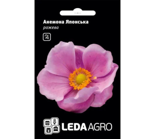 ТМ LEDAAGRO Анемона Японська рожева 10шт