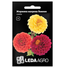 ТМ LEDAAGRO Жоржина махрова Помпон 0,2 г
