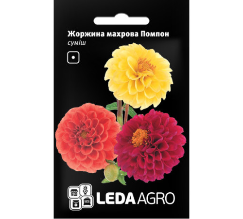 ТМ LEDAAGRO Жоржина махрова Помпон 0,2 г