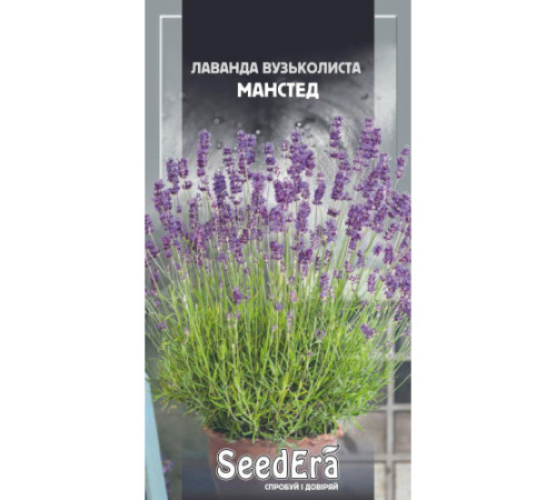 ТМ SeedEra Лаванда анг.вузьколиста Манстед 0,1г