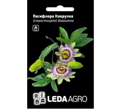 ТМ LEDAAGRO Пасифлора Каерулеа блакитна 0,05г