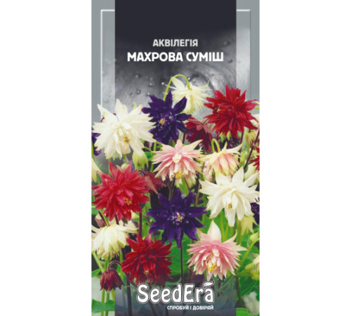 ТМ SeedEra Аквілегія Махрова багаторічна суміш 0,1г