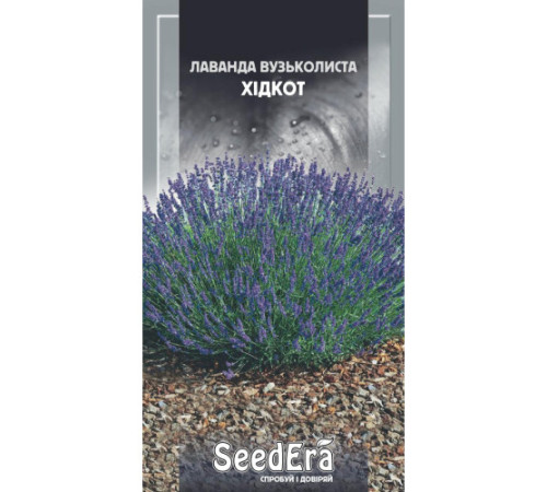 ТМ SeedEra Лаванда анг.вузьколиста Хідкот 0,1г