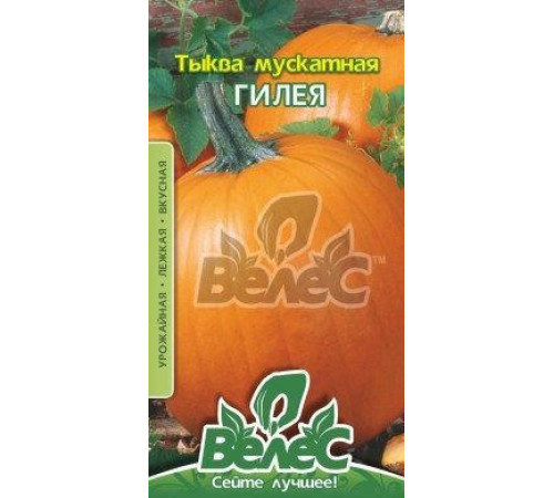 ТМ ВЕЛЕС Гарбуз Гілея 2г