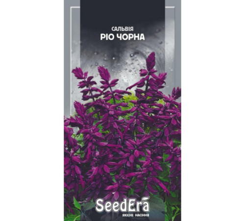 ТМ SeedEra Сальвія Ріо чорна 0,1г