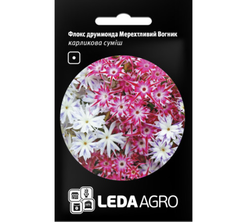 ТМ LEDAAGRO Флокс друмонда Мерехтливий вогник 0,2г