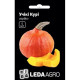ТМ LEDAAGRO Гарбуз Учікі Курі F1 5шт