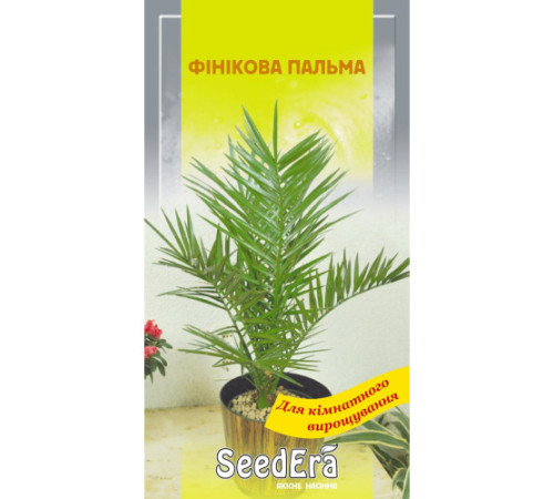 ТМ SeedEra Фінікова пальма 2шт