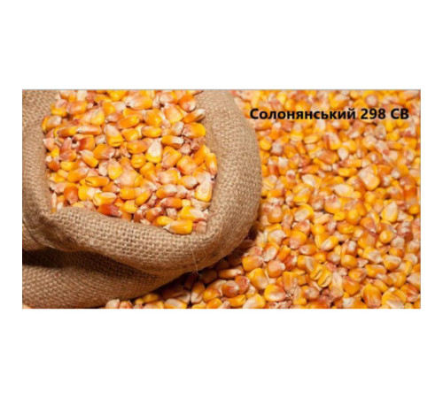 Кормова кукурудза Солонянський кг (мішок 25кг)