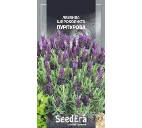 ТМ SeedEra Лаванда фран.широколиста Пурпурова 0,1г